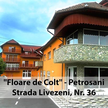 Floare De Colt Petrosani Hotel Exterior foto
