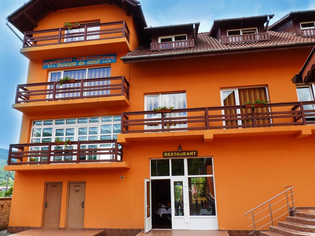 Floare De Colt Petrosani Hotel Exterior foto