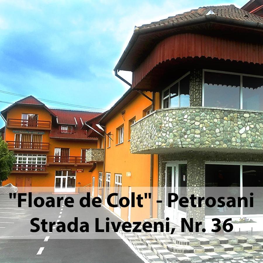 Floare De Colt Petrosani Hotel Exterior foto